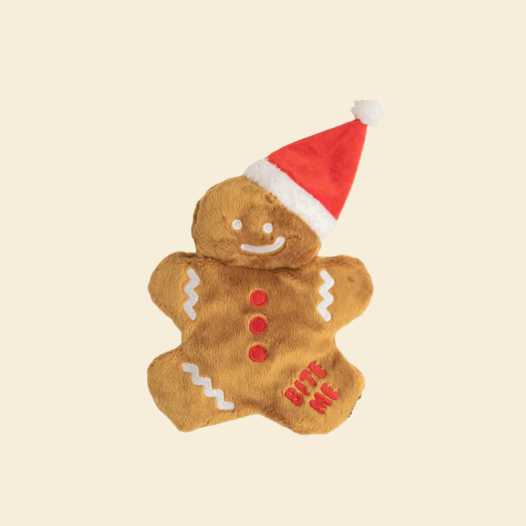 Gingerbread Tug Dog Toy - FluffyCream