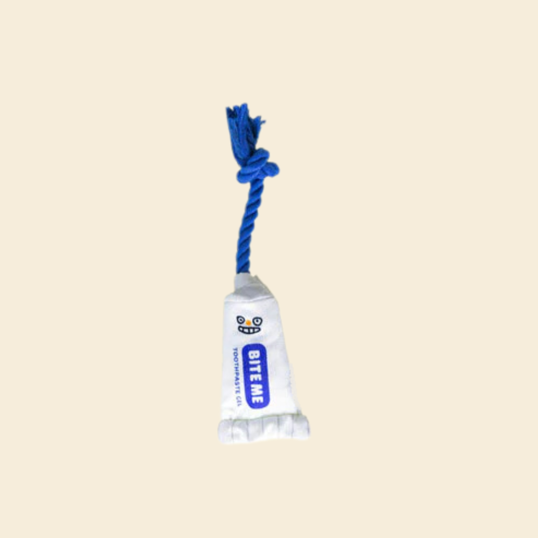 Toothpaste-Shaped Tug Dog Toy - FluffyCream