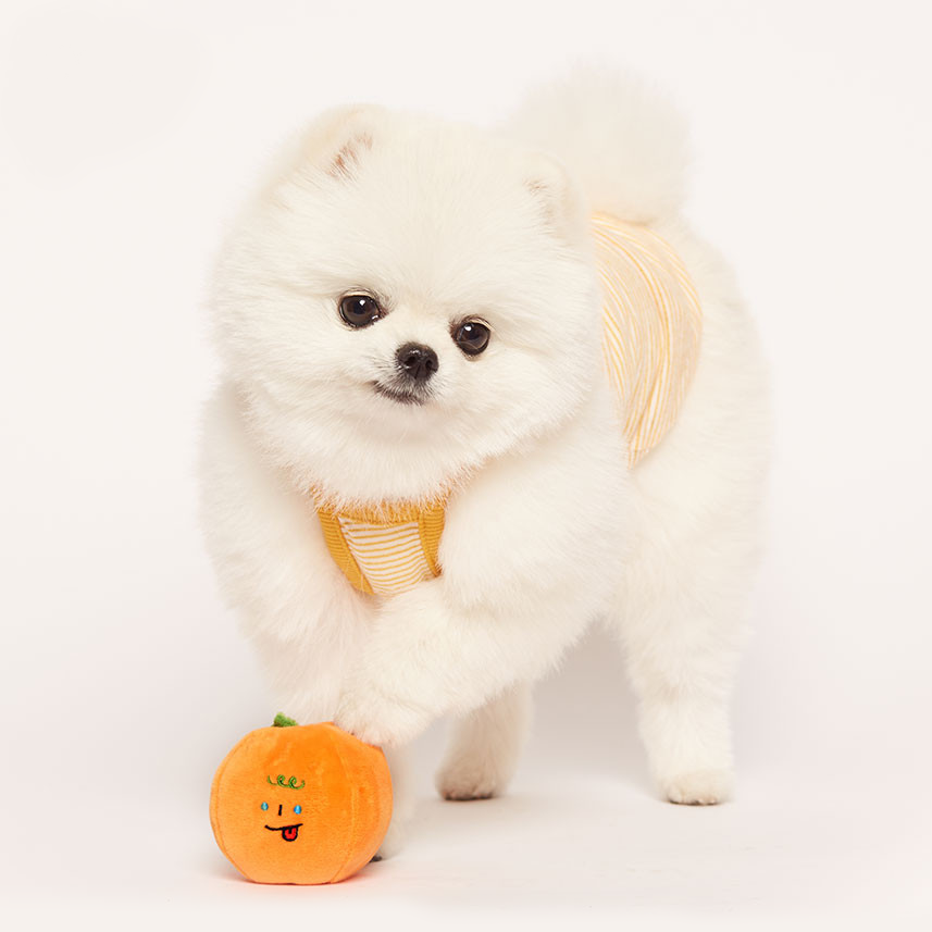 Orange Interactive Dog Toy Set - FluffyCream