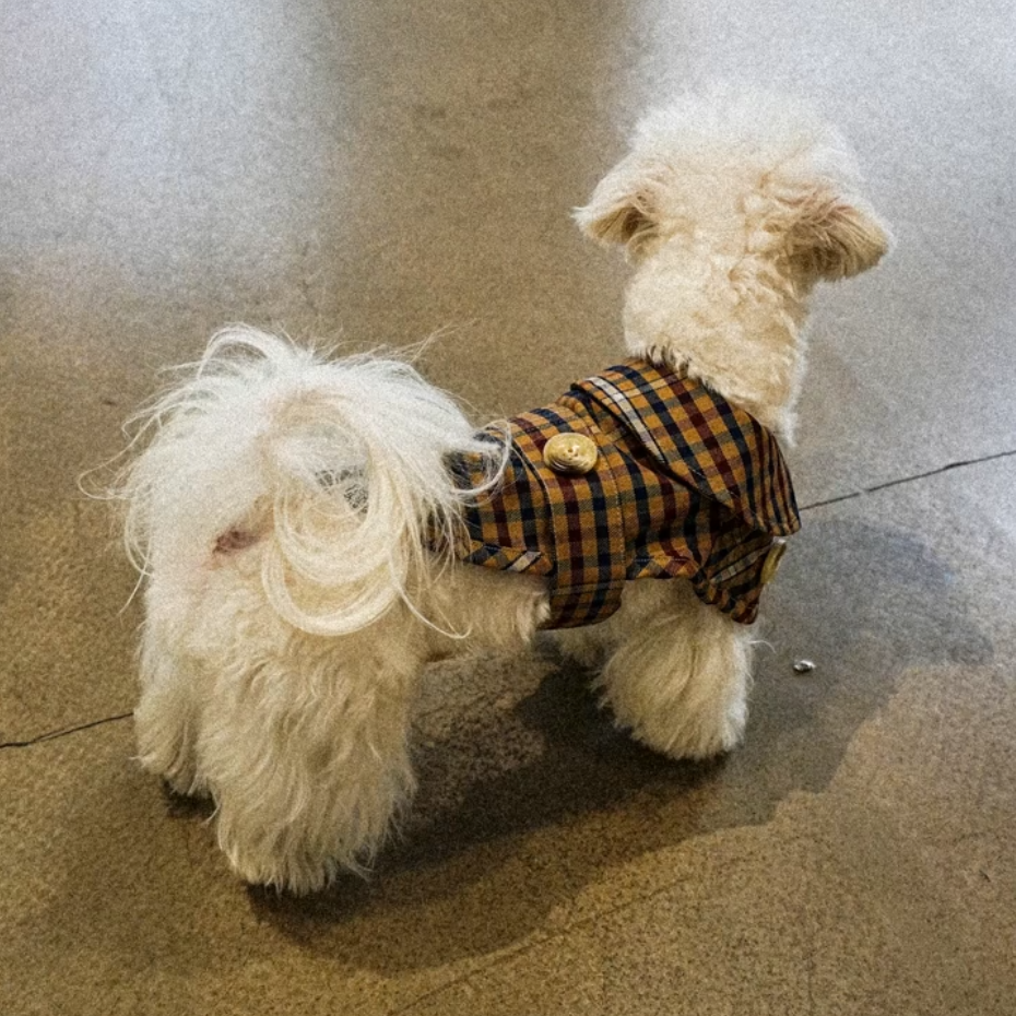 The Windsor Trench - Oxford Brown - FluffyCream