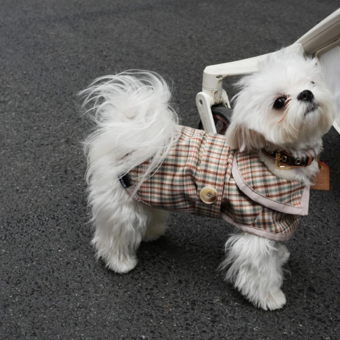 The Windsor Trench - Classic Beige - FluffyCream