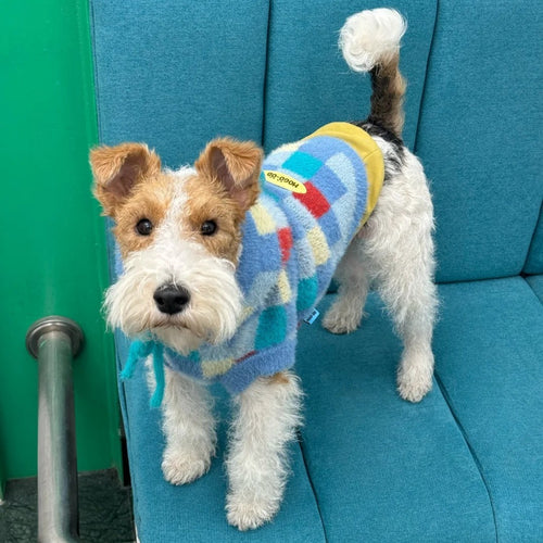 Colorful Checkered Pet Hoodie - FluffyCream