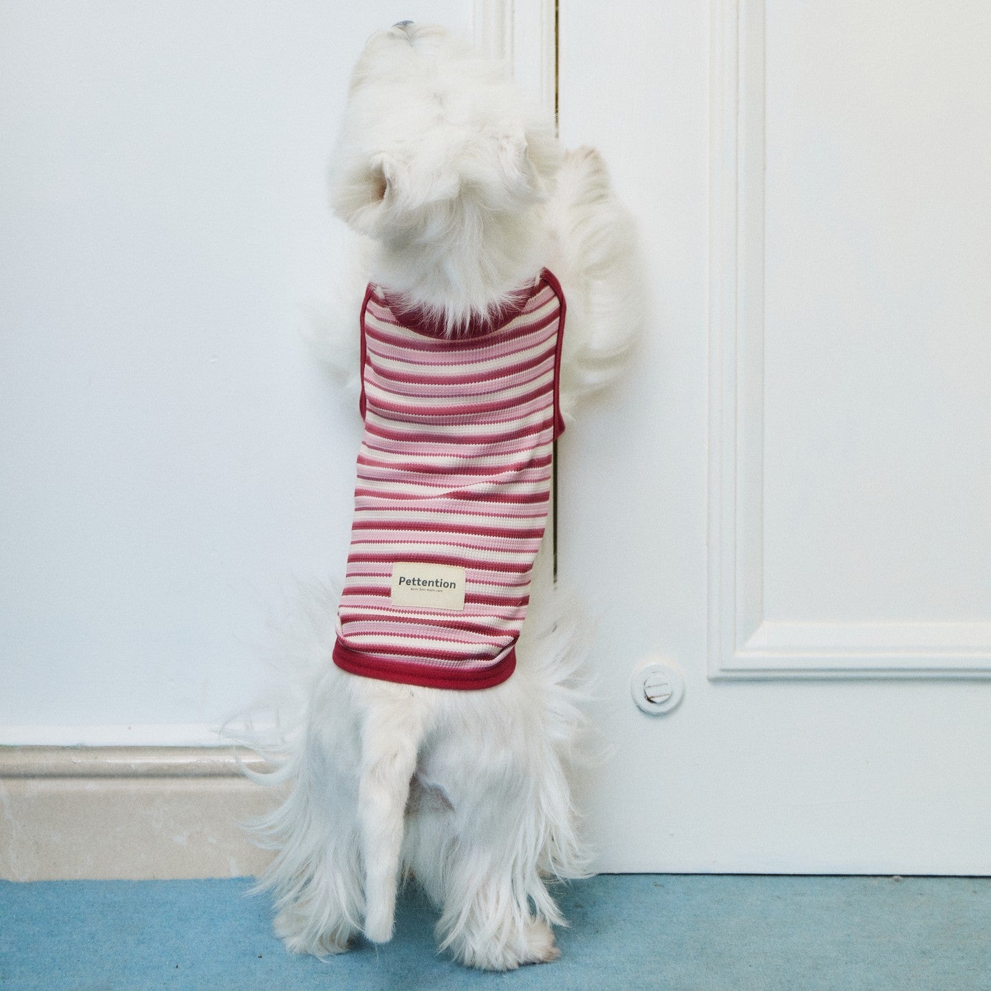 Cherry Stripes Sleeveless Shirt