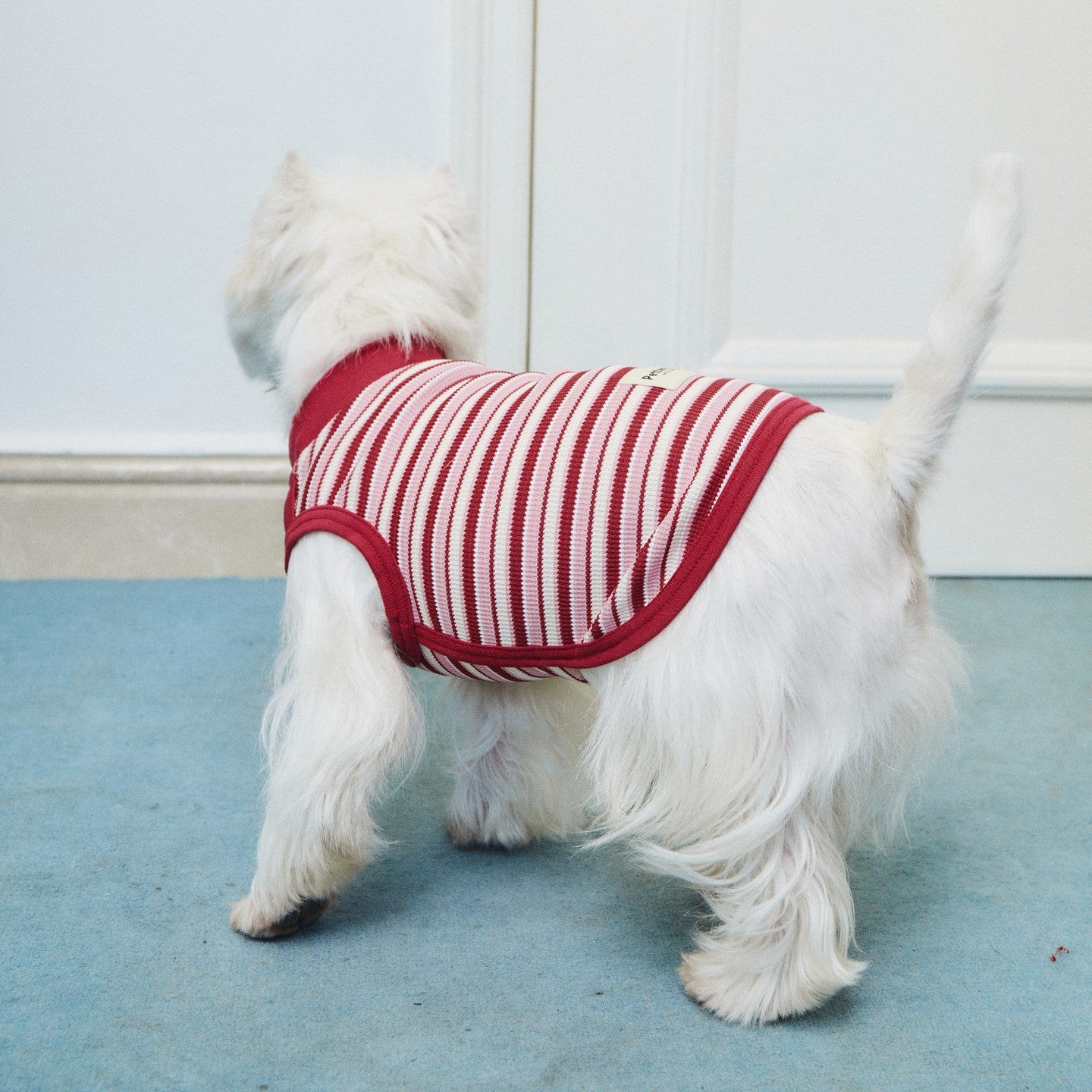 Cherry Stripes Sleeveless Shirt